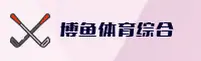 (推荐) 博鱼体育综合官方入口 - 2026新版